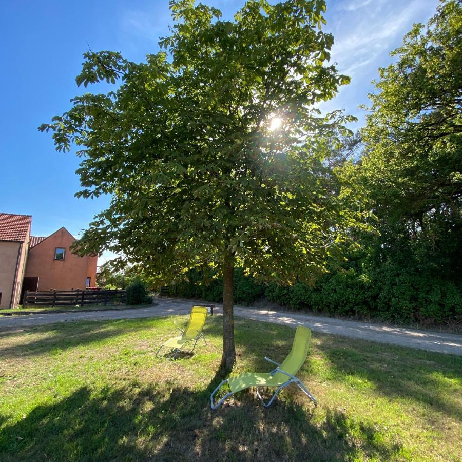 Ferienwohnung Auf Pferdehof Dreetz المظهر الخارجي الصورة
