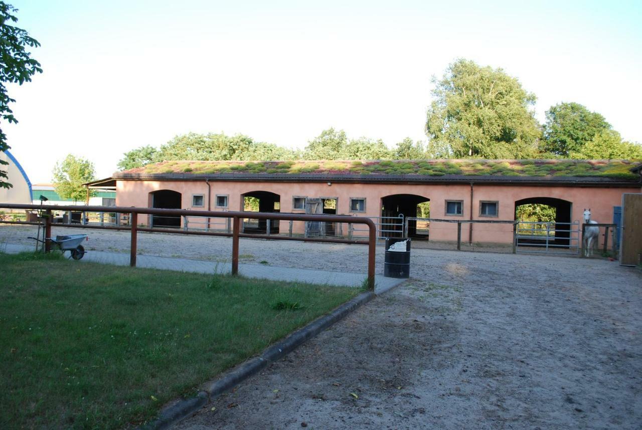 Ferienwohnung Auf Pferdehof Dreetz المظهر الخارجي الصورة