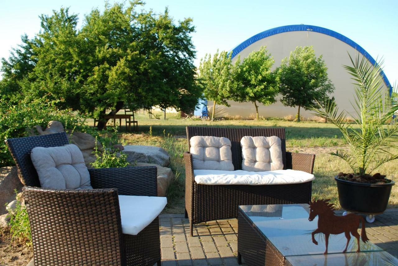 Ferienwohnung Auf Pferdehof Dreetz المظهر الخارجي الصورة